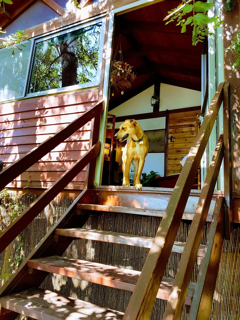 אהבה בבקתה של פעם - אמירים