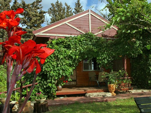 אחוזת שפרה - עופר