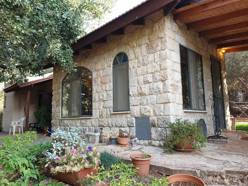 אלוני אמירים - אמירים