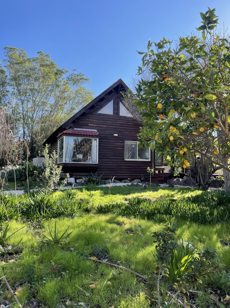 אתנחתא - מעלה גמלא