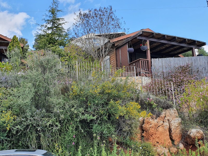 גן המלכים - אמירים