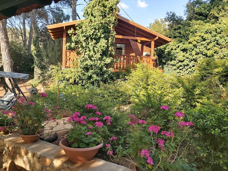 הבקתות והספא של דליה - אמירים