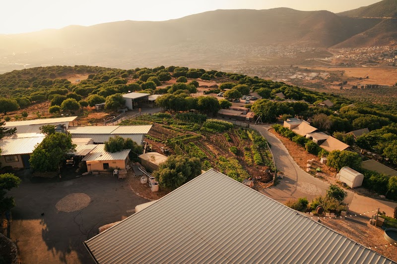 חוות רום - כמון