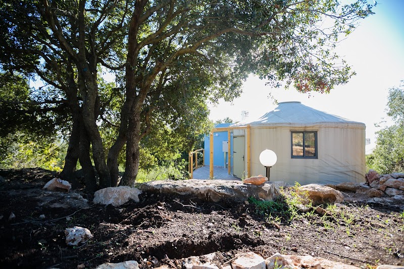 טאיקו – אירוח יפני - מכמנים