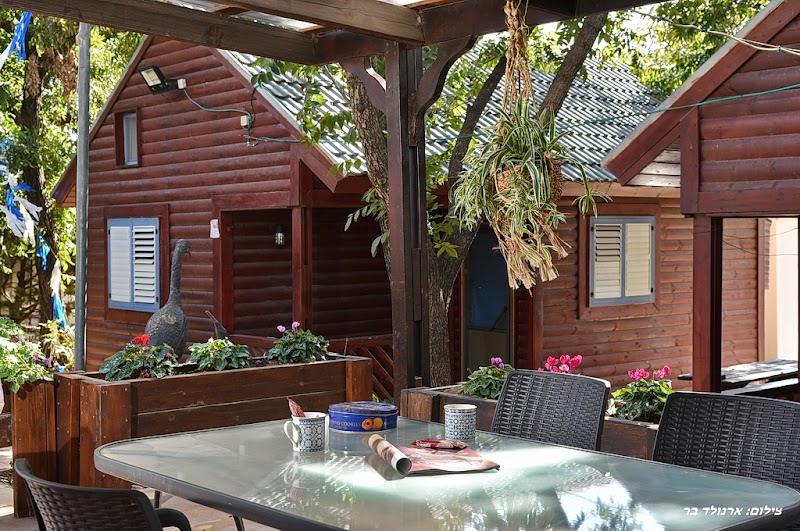 קדמת עדן - שזור