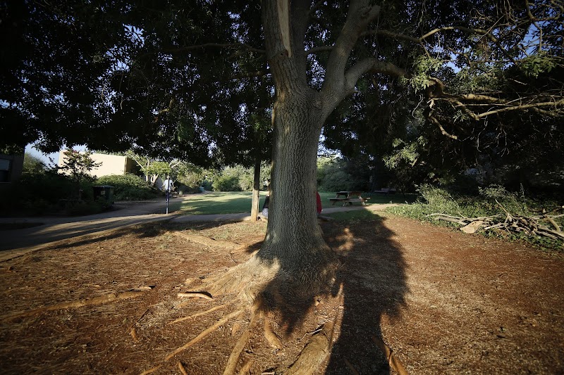 בית הבריאות תובל - תובל