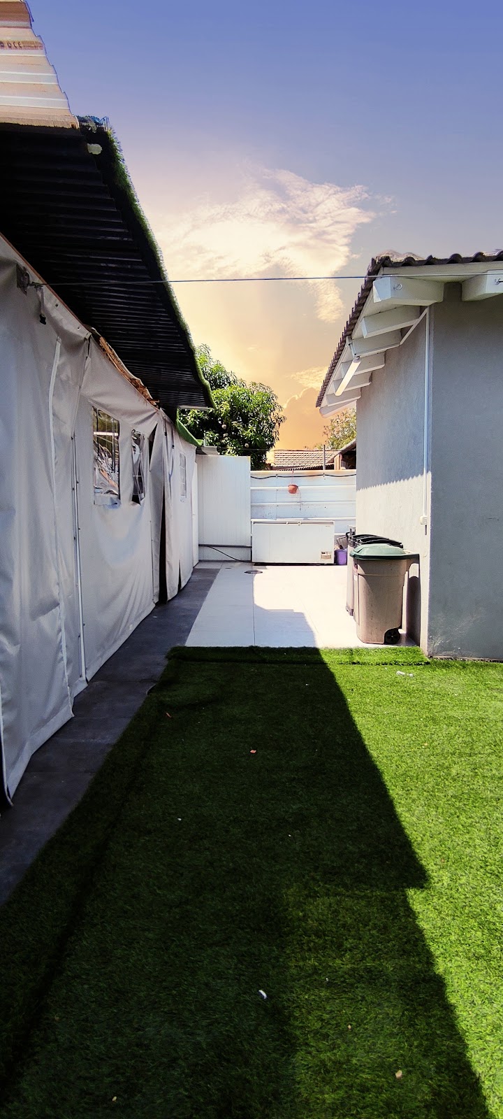 הניצוץ הירוק - נתניה