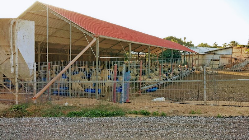 הפינה השקטה בשרון - אודים