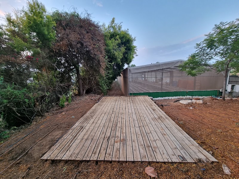 מקום בטבע - בצרה