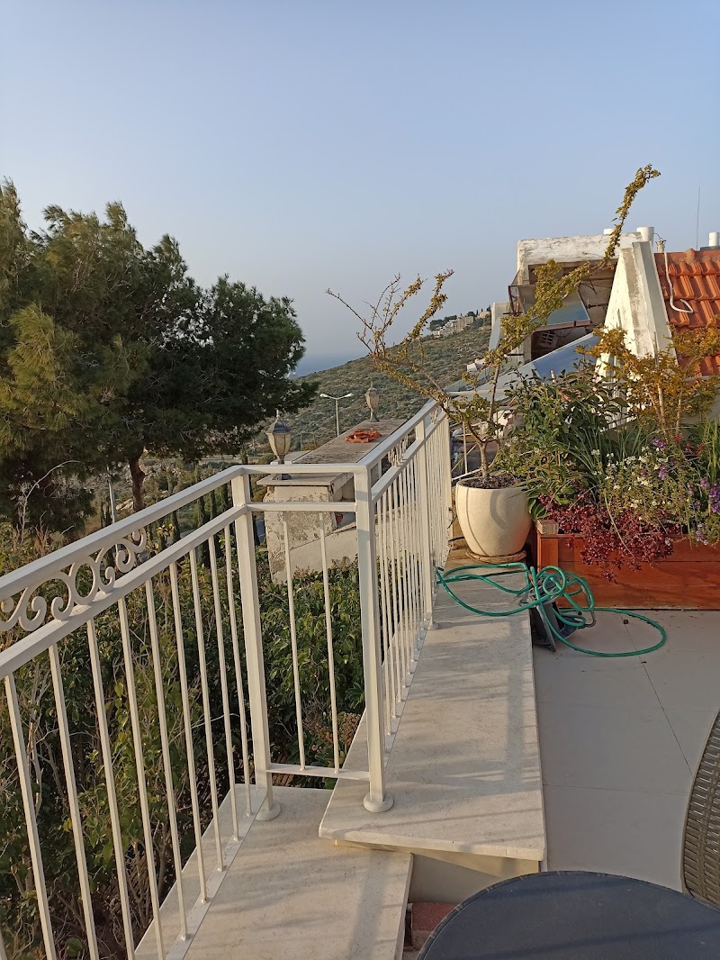 Eshkol Housing Haifa -Executive Apartments - חיפה