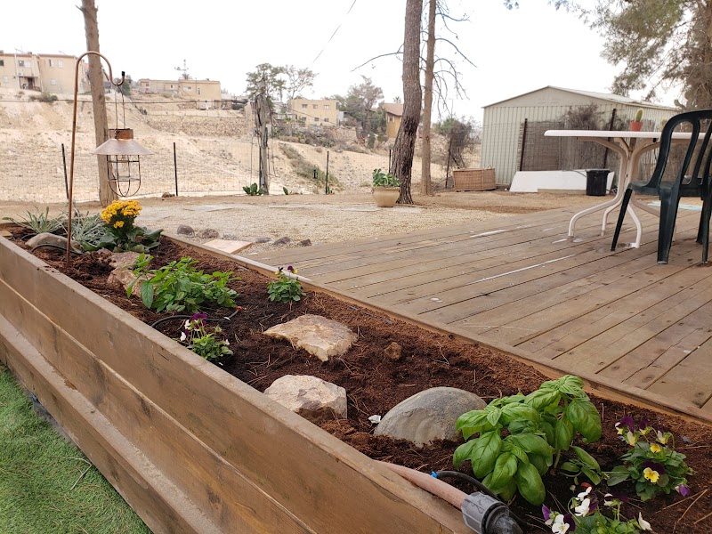 Moonlight Suite Arad - ערד