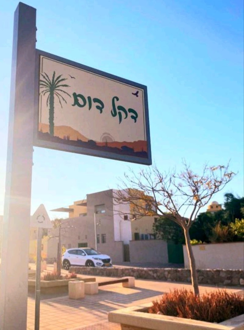 אלת המדבר - באר אורה