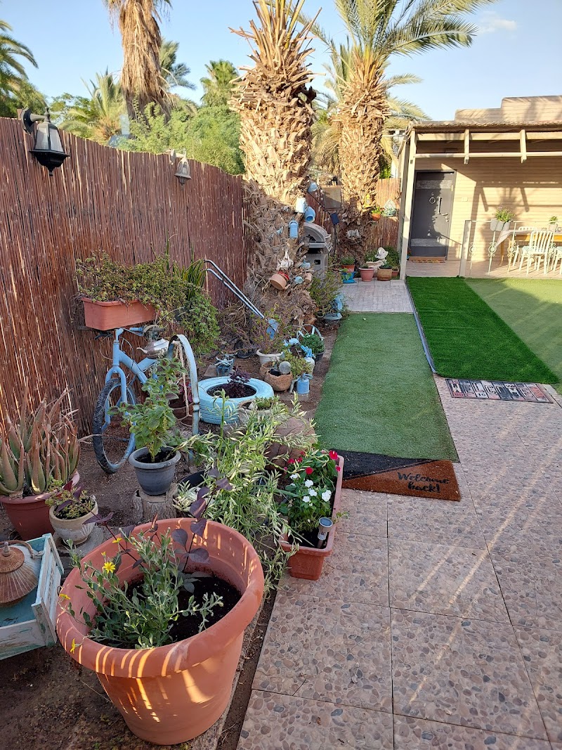 אצלנו בחצר - נאות הכיכר