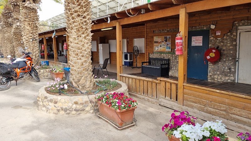 בין עצי התמר - עין יהב