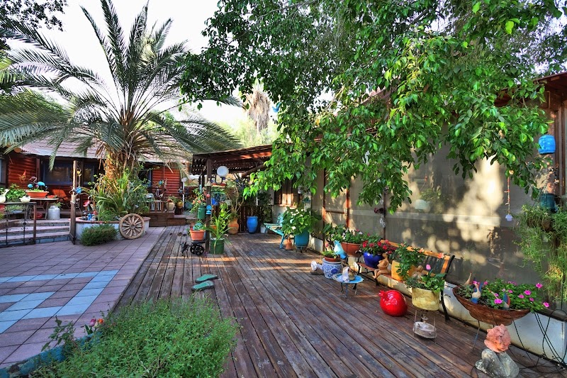 בצל תמר - נאות הכיכר