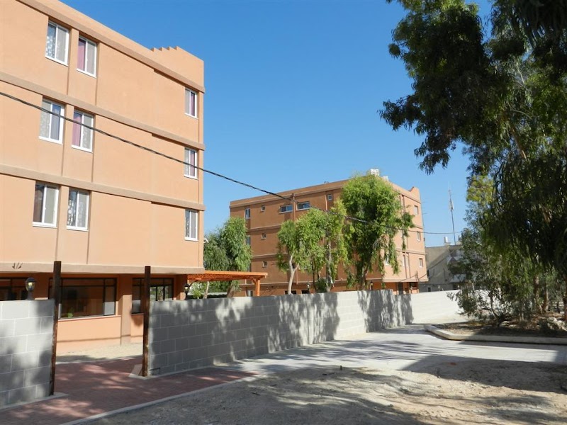 הדס המדבר - דימונה