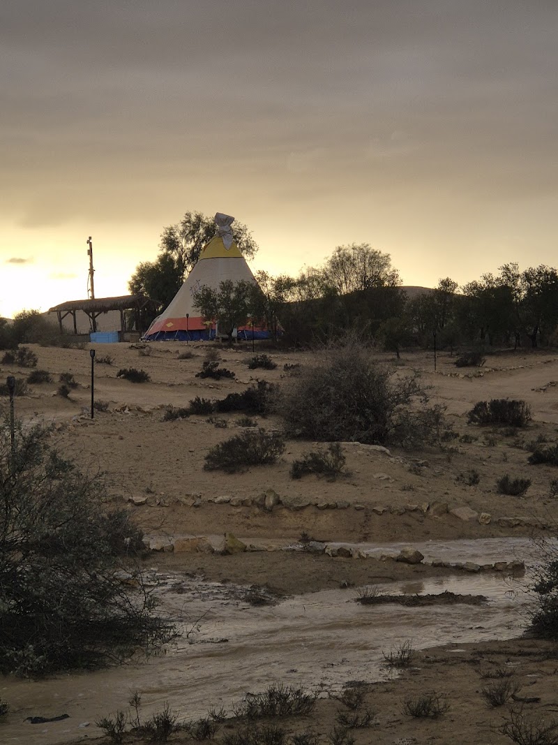 חוות זית המדבר - שדה בוקר