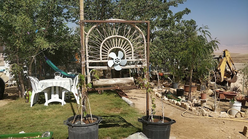 חיים נעימים במדבר - שחרות