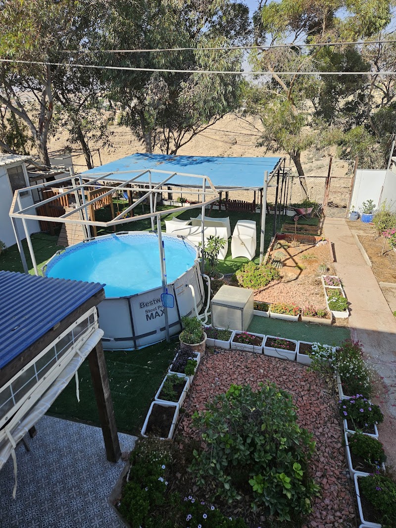 חצבים על הואדי - ערד