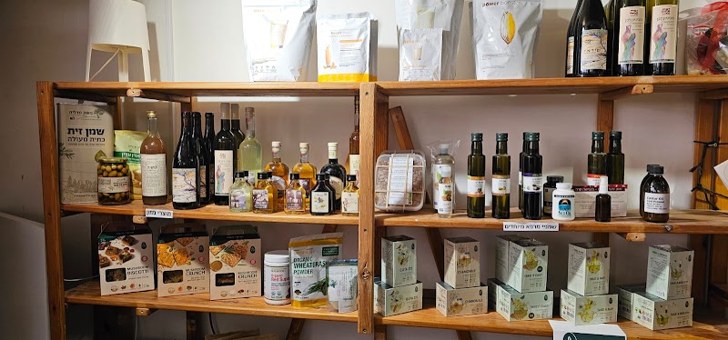 טל במדבר - מדרשת בן גוריון