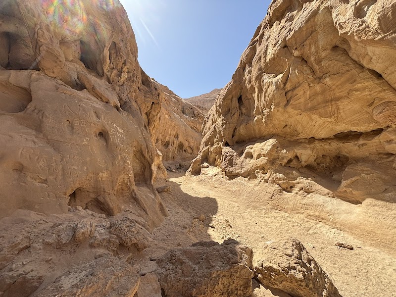 ים במדבר - באר אורה