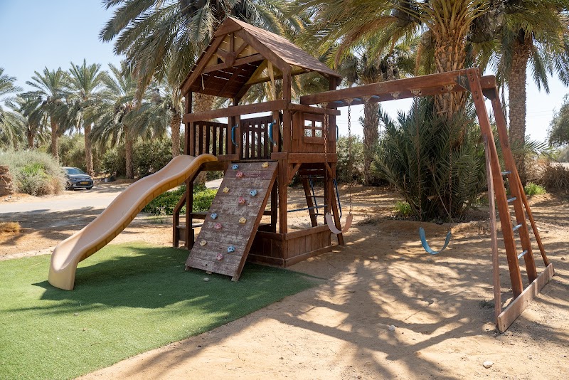 לוריא בצל התמר - חצבה