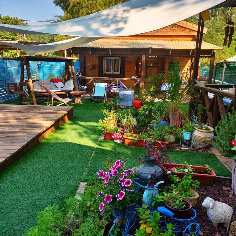 ליבי במדבר - נאות הכיכר