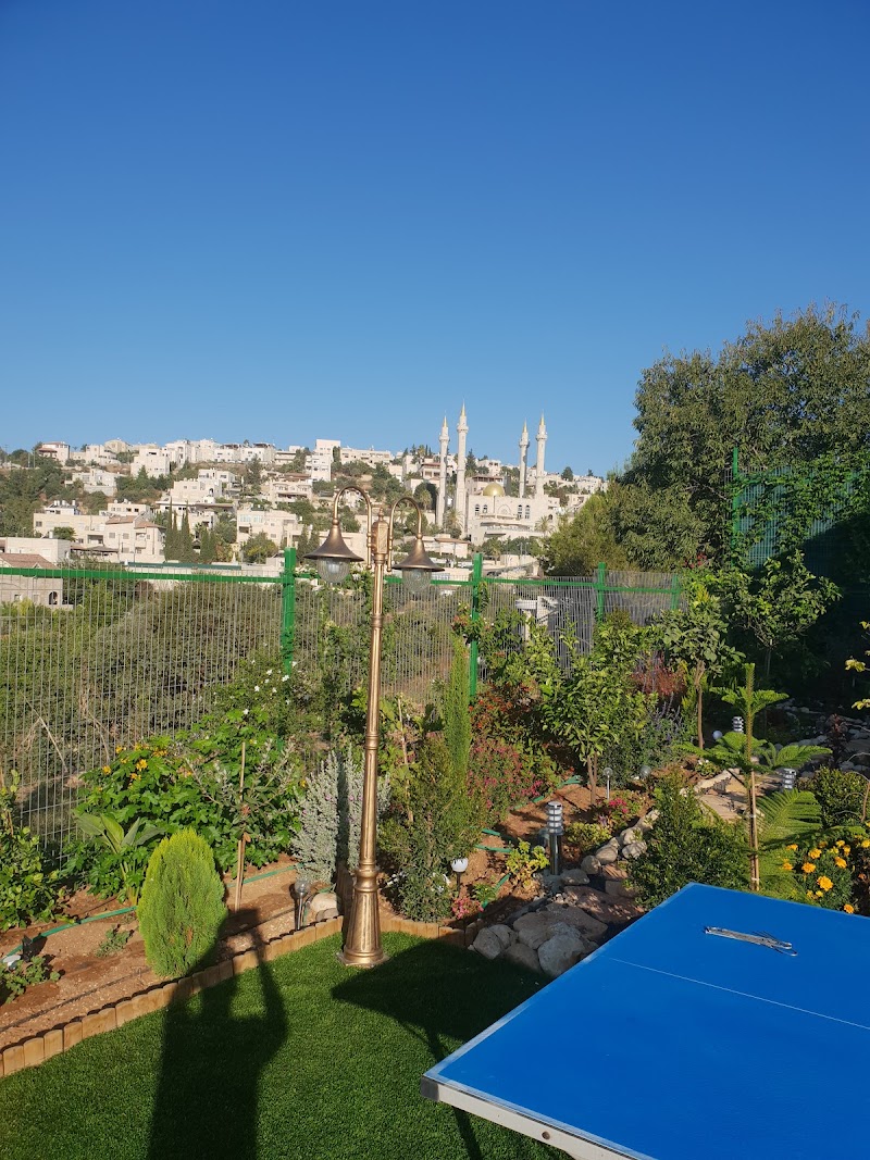 מבט אל הוואדי - אבו גוש