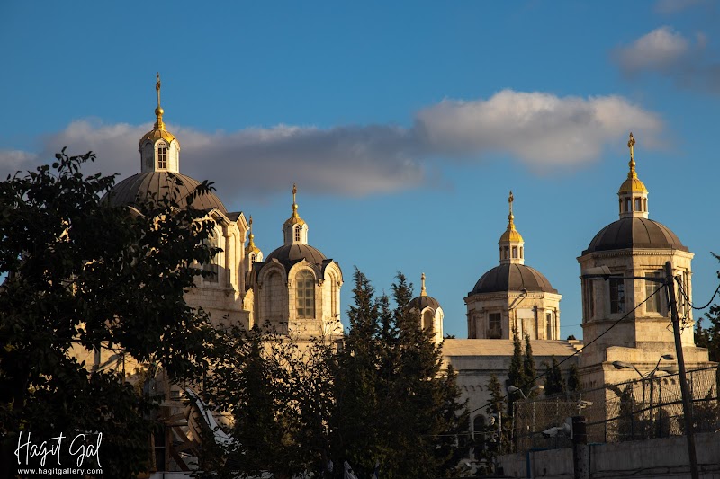 מלון הלני מלכה ירושלים (לשעבר אוליב) - ירושלים