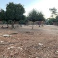 מרכז שדה ויער נס הרים קקל