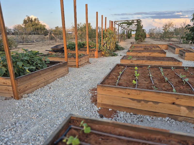 נוף הבוסתן B&B - דקל