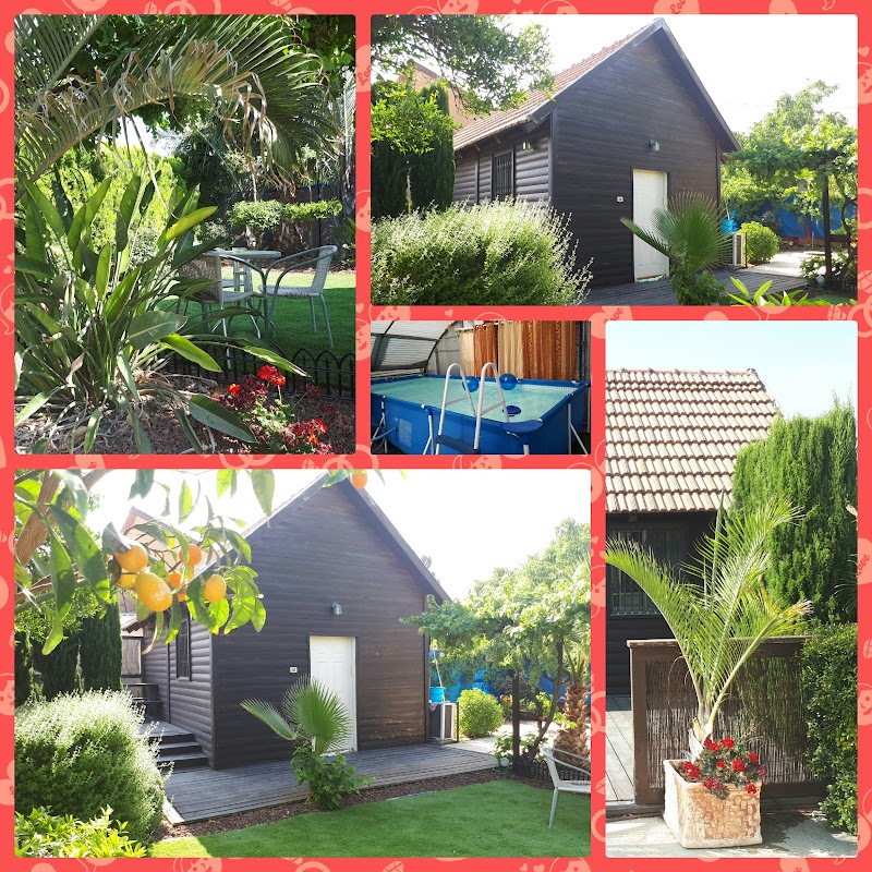 נופש במרחבים - פעמי תש"ז