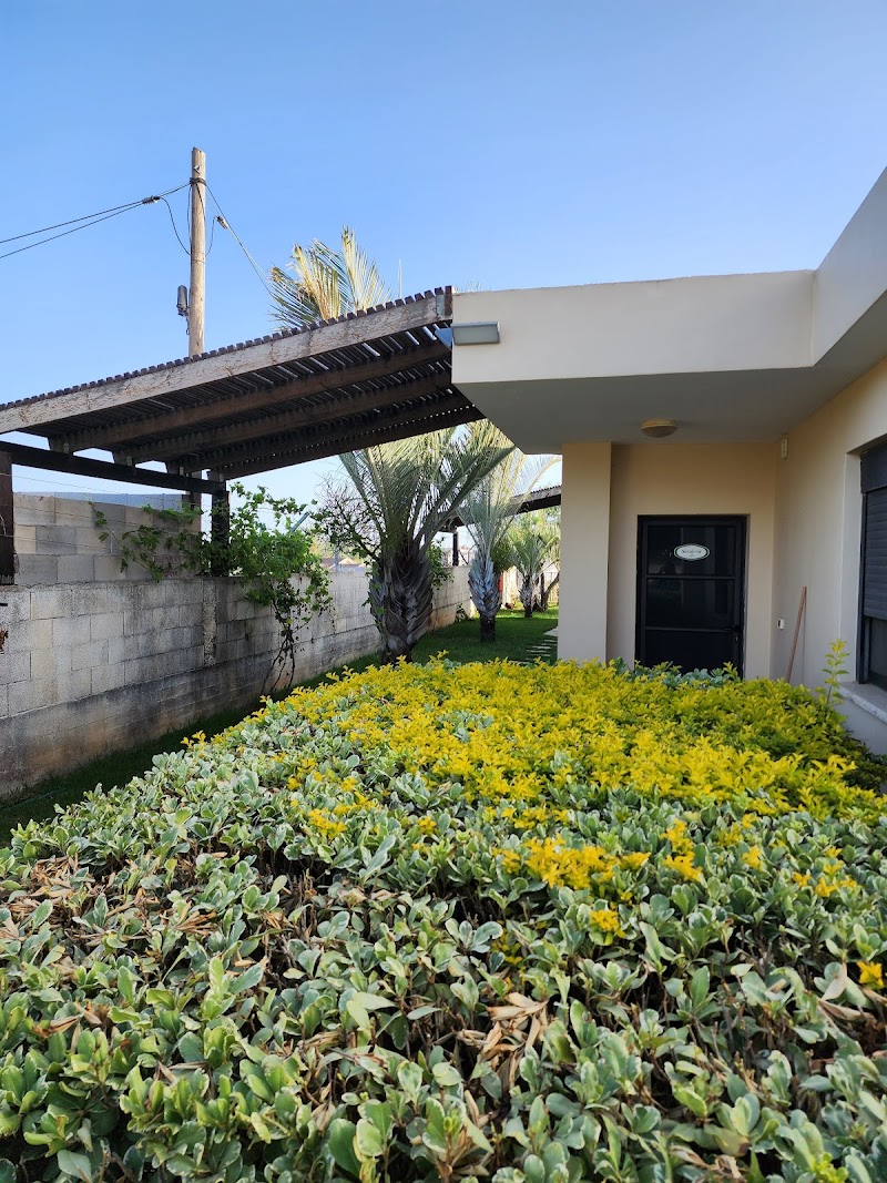 עדי הכרמל - דאלית אל-כרמל