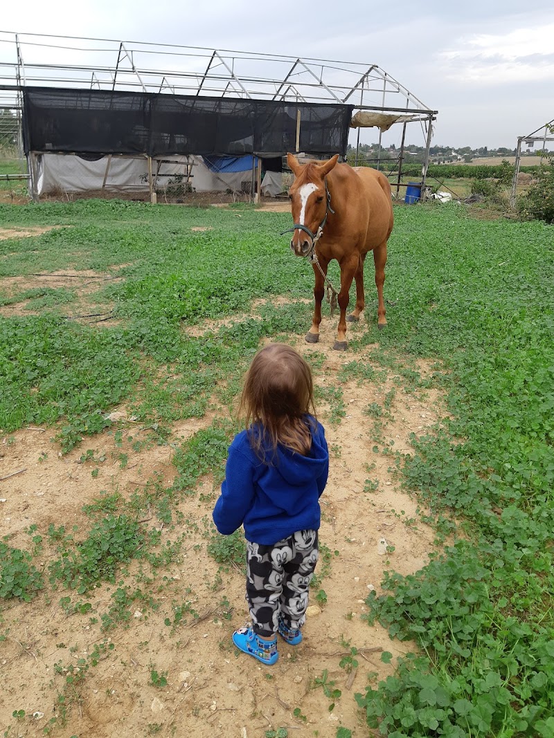 פינוק אצל פינק - ניר עקיבא