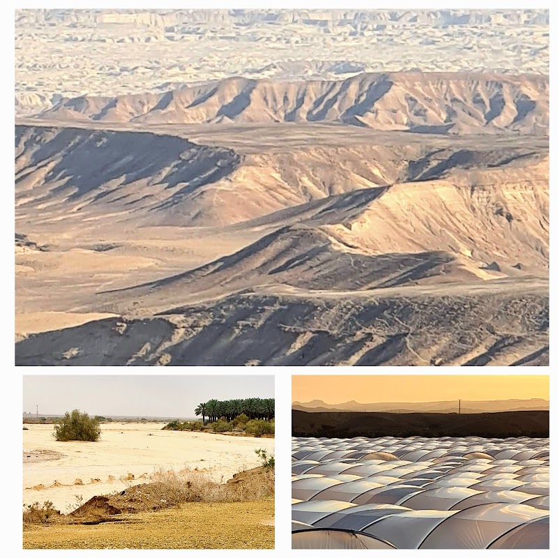 פנינה בחצבה - חצב