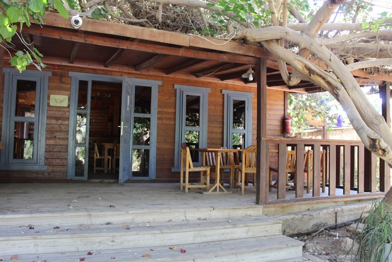 פנינה במדבר - צופר