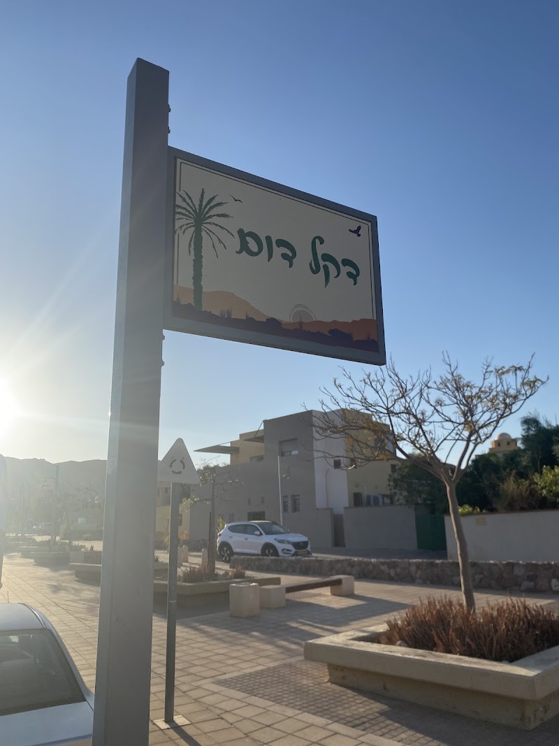 פנינת הדקל בבאר אורה - באר אורה