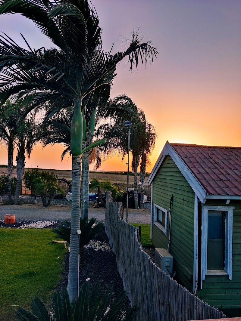 פנינת החלומות - פעמי תש"ז