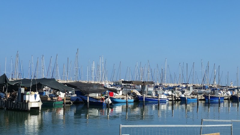 צימר מול ים תיכון - אשקלון