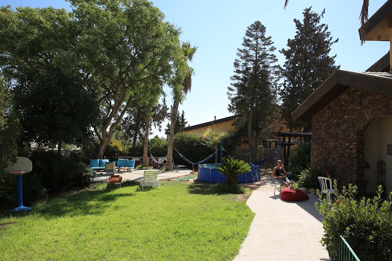 ציפור מדבר - ערד