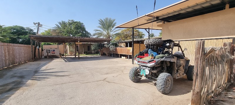 שבילים במדבר - חצבה