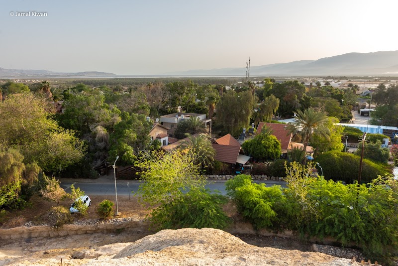 שחר המדבר - נאות הכיכר