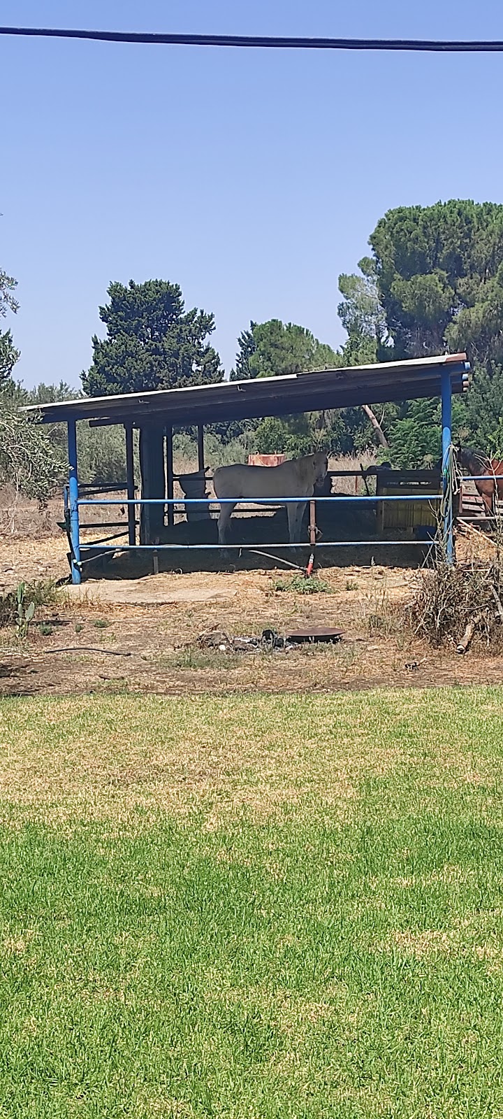 בקתות ספא בכרם זית - אלי-עד
