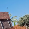 פנינת המעיינות