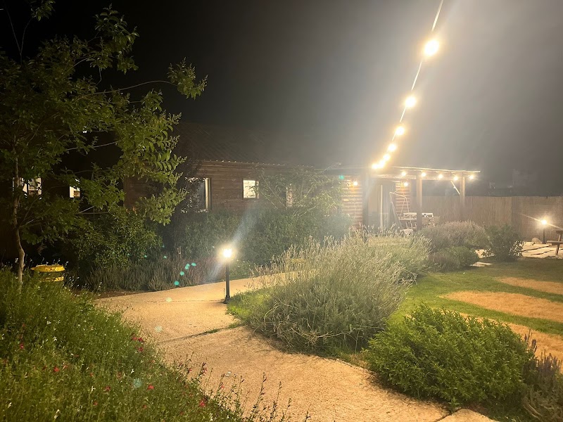 בארץ אהבתי - הזורעים