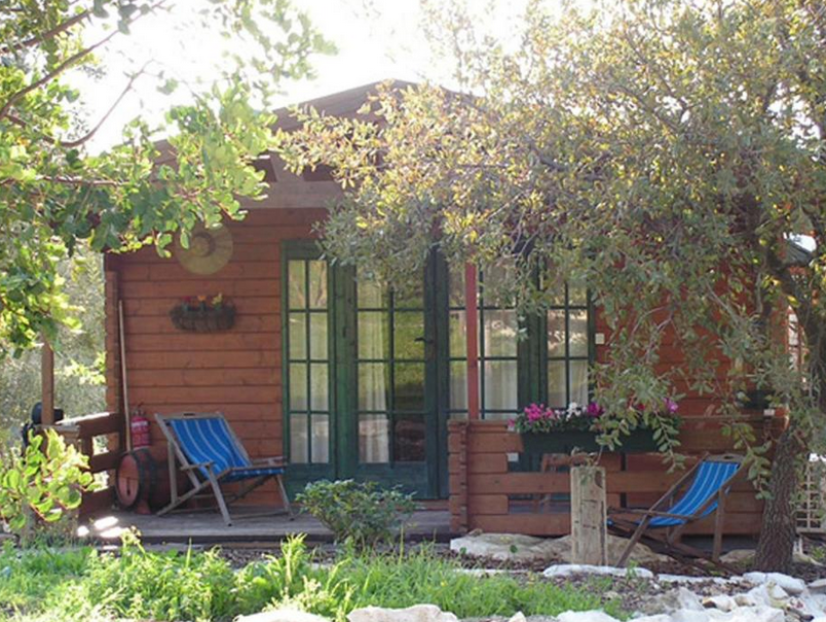 צימר בקתה 81