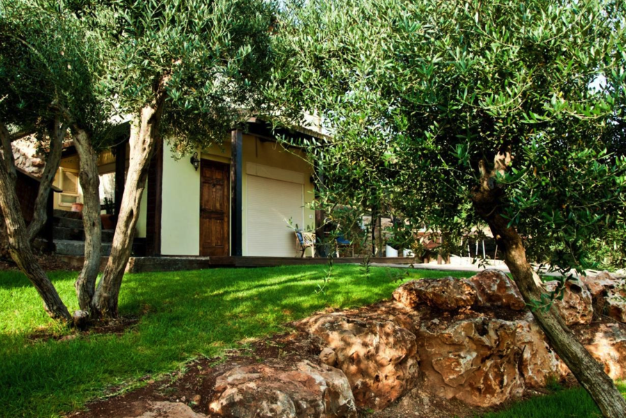 צימר נופש בהרים רמות נפתלי